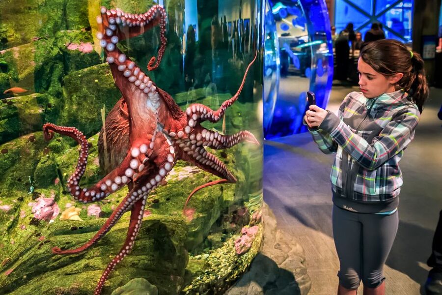 Seattle CityPASS®: Save up to 46% at 5 Top Attractions - Take the one-hour Argosy harbor tour
