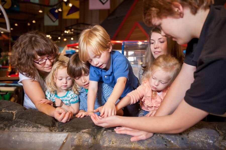 Seattle CityPASS®: Save up to 46% at 5 Top Attractions - Choose MoPOP for music, film, and hands-on exhibits