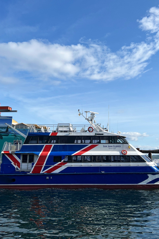 Seattle: Half-Day Wildlife and Whale Watching Cruise - Key points to know before booking