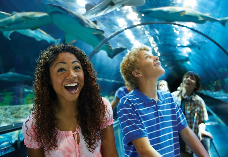 SeaWorld Orlando: Park Admission Ticket - Key points to know before you go
