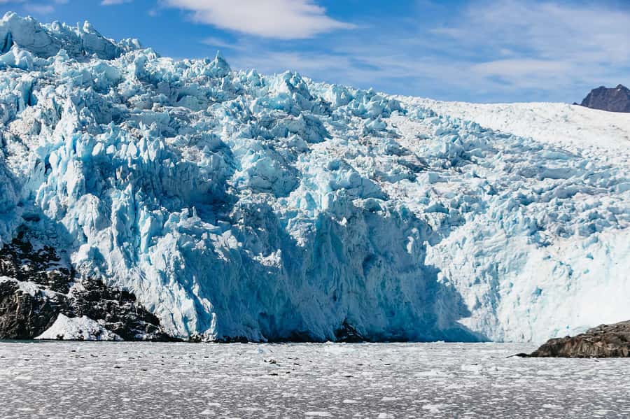 Seward: Kenai Fjords National Park Catamaran Cruise w/Lunch - Searching the bay for whales and smaller wildlife