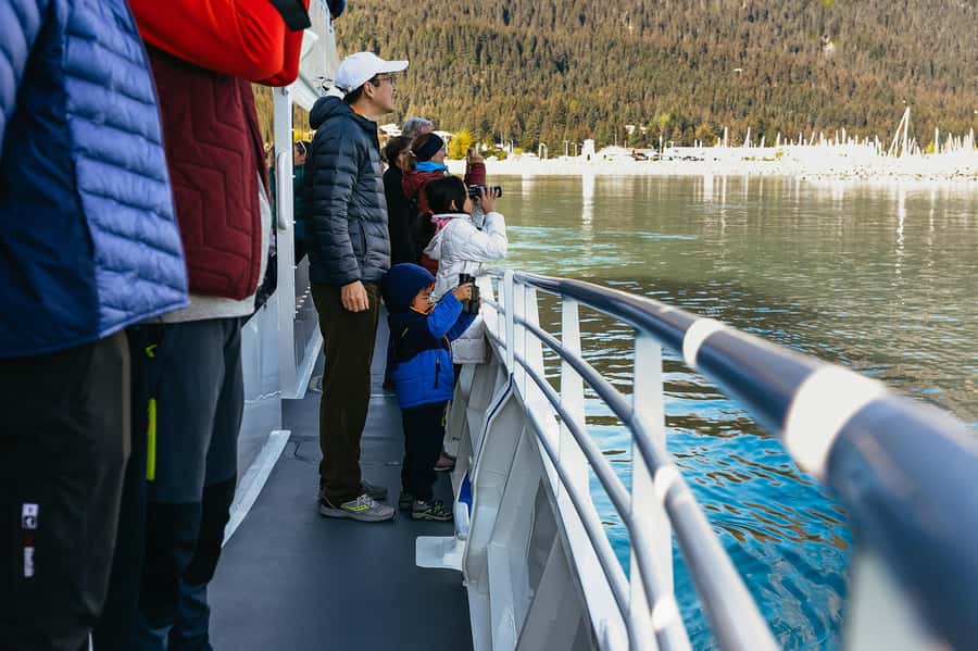 Seward: Kenai Fjords National Park Catamaran Cruise w/Lunch - The fjords reveal Alaska’s grand scale