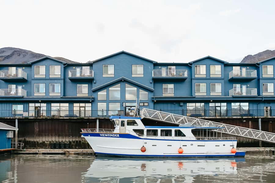 Seward: Kenai Fjords National Park Catamaran Cruise w/Lunch - Meeting a tidewater glacier