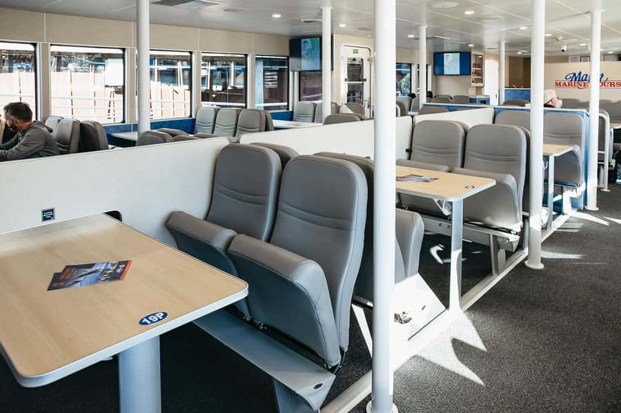 Seward: Kenai Fjords National Park Catamaran Cruise w/Lunch - Is $265 a fair price?