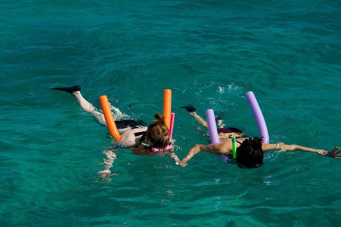 Shallow Water Snorkeling and Dolphin Watching in Key West - Snorkeling above reefs, wrecks, and sponge gardens