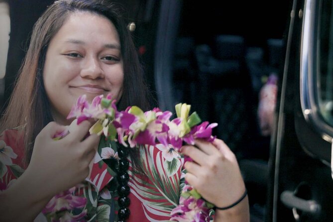 Shared Arrival Transfer: Honolulu Airport to Hotel or Cruise Terminal - A soft landing after a long flight