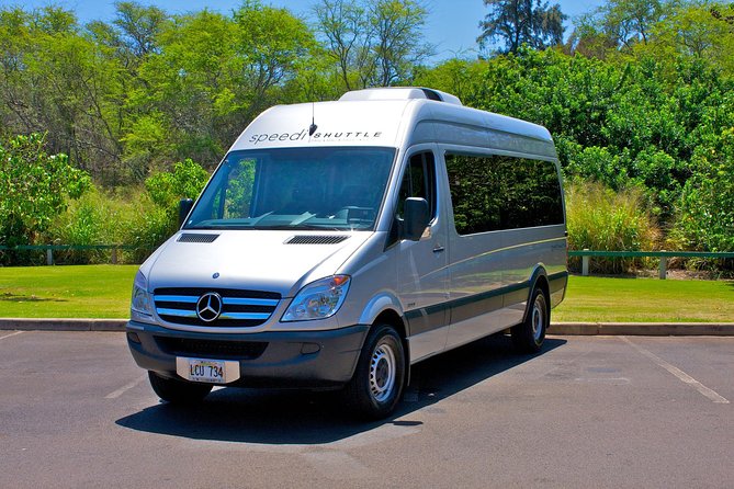 Shared Round-Trip Transfer: Honolulu Airport to Hotel or Cruise Terminal - A simple start after a long flight