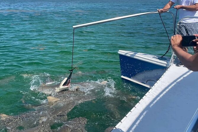 Shark and Wildlife Viewing Adventure in Key West - Comfort, clothing, and what to pack