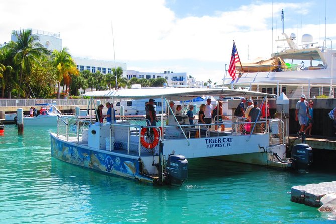 Shark and Wildlife Viewing Adventure in Key West - Is $99 a good value?