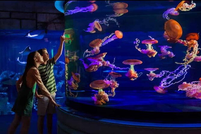 Shark Reef at Mandalay Bay Hotel and Casino - Fourteen exhibits keep the route varied
