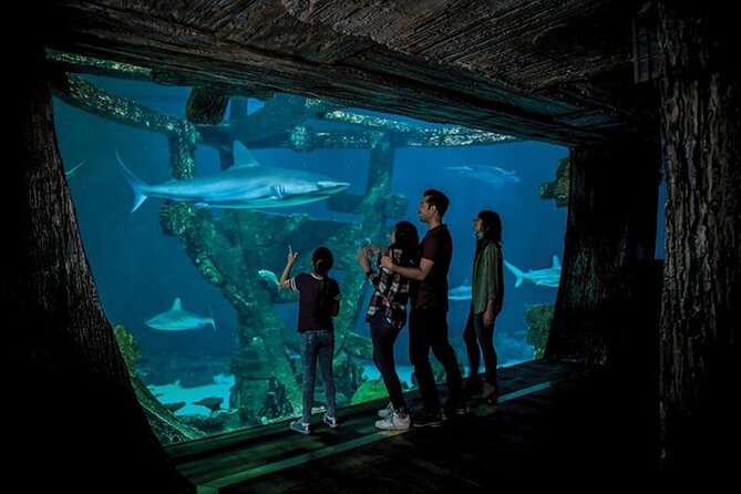 Shark Reef at Mandalay Bay Hotel and Casino - Who will enjoy this attraction most?