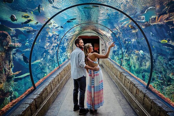 Shark Reef at Mandalay Bay Hotel and Casino - The touch pool gives children a hands-on moment