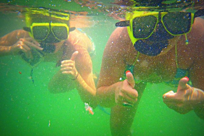 Shell Island Snorkel and Dolphin Catamaran Cruise with Island Time - Drinks, music, and the social atmosphere
