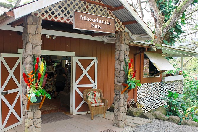 Sights & Bites Ultimate Oahu Circle Island Foodie Tour - Hanauma Bay from the lookout
