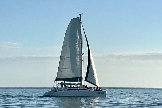 Sightseeing and Sunset Catamaran Sailing Excursion - Sailing out from Capri Boulevard