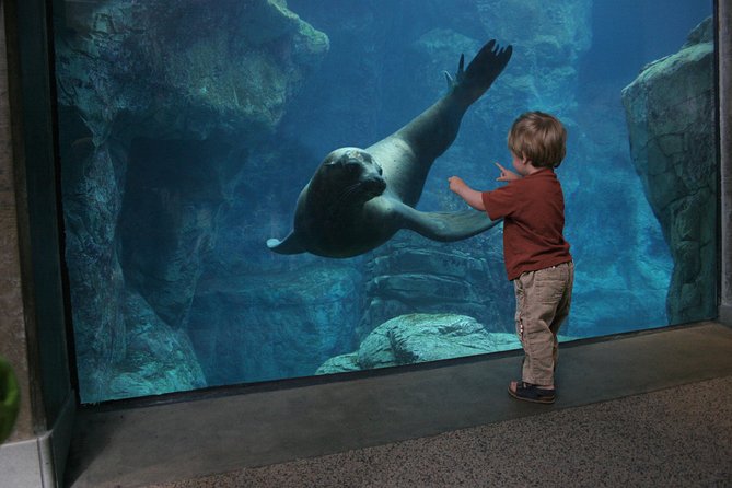 Skip the Ticketing Line: Aquarium of the Pacific General Admission Ticket - Otters, penguins, and smaller Pacific life