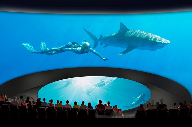 Skip the Ticketing Line: Aquarium of the Pacific General Admission Ticket - Food, comfort, and access inside