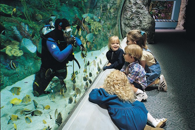 Skip the Ticketing Line: Aquarium of the Pacific General Admission Ticket - Three Pacific regions, 19 habitats, and a useful route