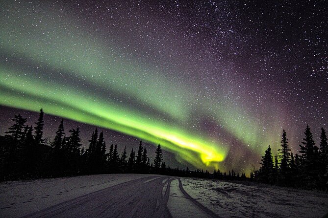 SkyChase™ | Northern Lights Experience - Free Photography & More - Photography that is genuinely useful