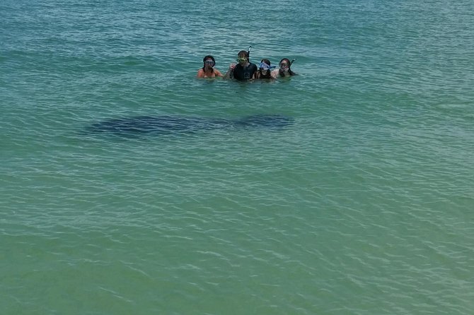 Small Group 2 Hour Dolphin Cruise with Snorkeling to Shell Key - Is $75 a fair price?