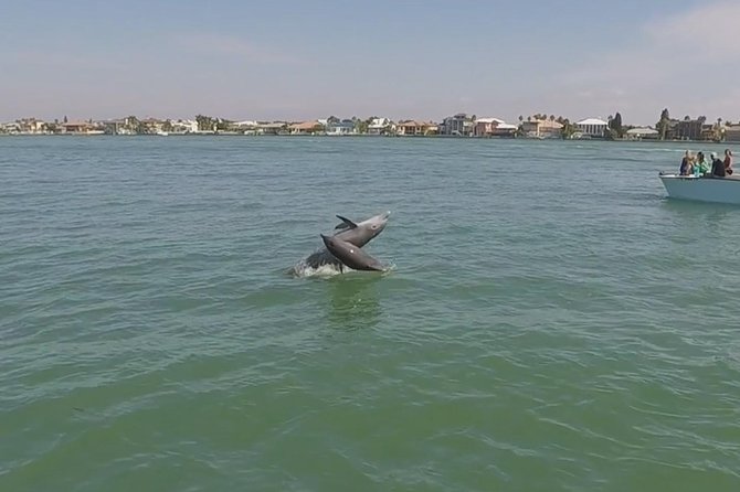 Small Group 2 Hour Dolphin Cruise with Snorkeling to Shell Key - Who should book this cruise?