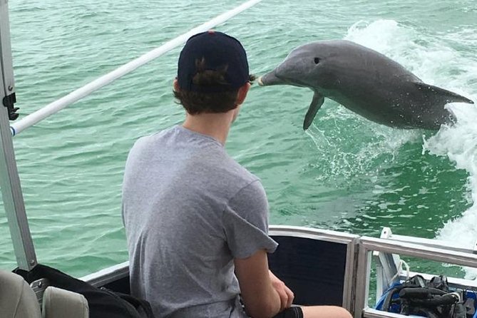 Small Group 2 Hour Dolphin Cruise with Snorkeling to Shell Key - Reaching Shell Key Wildlife Preserve
