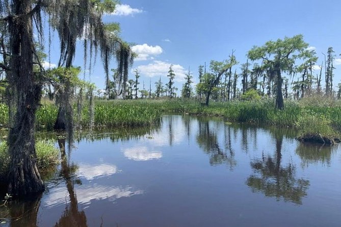 Small-Group Airboat Swamp Tour with Downtown New Orleans Pickup - The 1-hour-40-minute ride: speed, silence, and photo stops