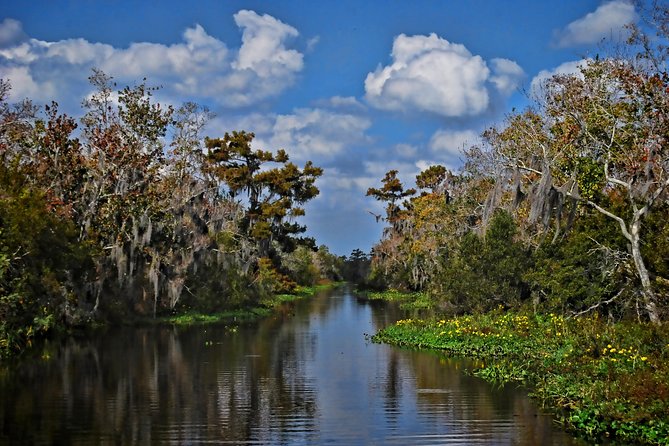 Small-Group Bayou Airboat Ride with Transport from New Orleans - The guide makes or breaks the boat ride
