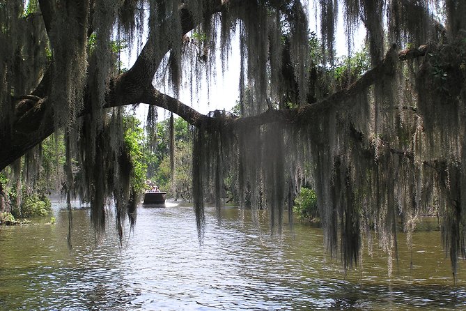 Small-Group Bayou Airboat Ride with Transport from New Orleans - How the four hours usually unfold