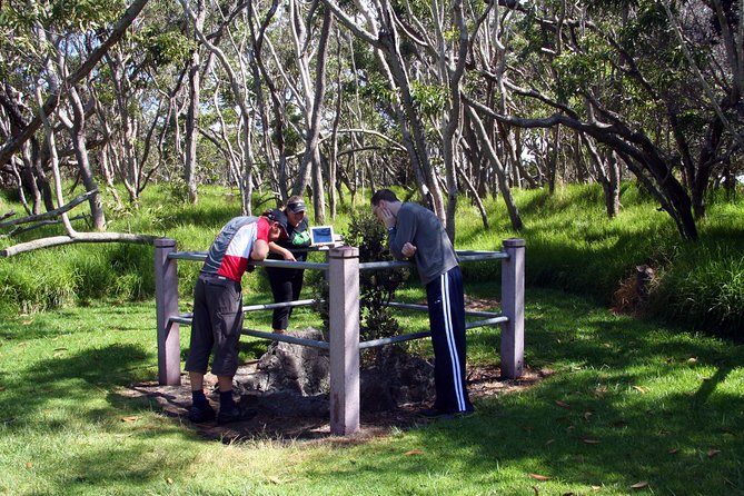 Small-Group Big Island Tour: Hawaii Volcanoes National Park and Kona Coffee Farm - Food, timing, and the practical value of $209