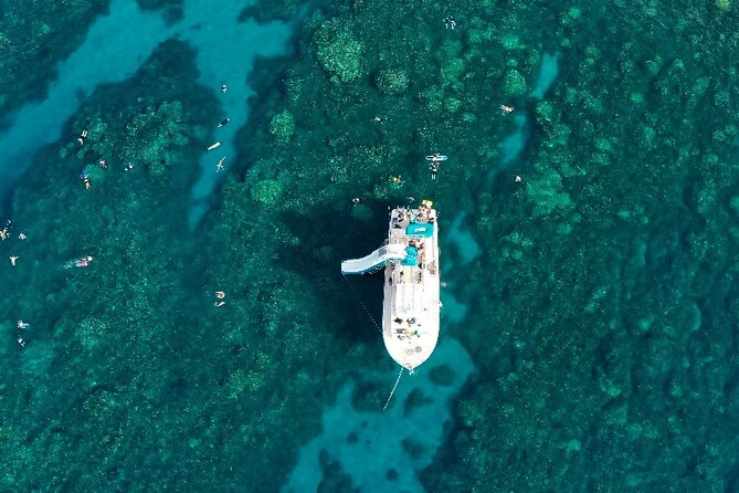 Small Group Coral Gardens Snorkel & Waterslide Adventure - Coral Gardens, the main snorkeling stop