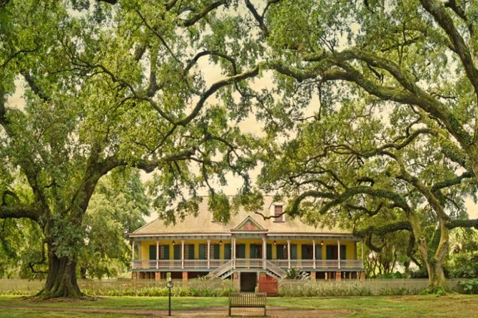 Small-Group Laura and Whitney Plantation Tour from New Orleans - Why these two plantations belong on the same day