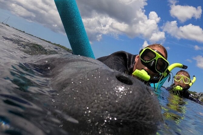 Small Group Manatee Snorkel Tour with In-Water Guide and Photographer - Meeting the manatees of Crystal River