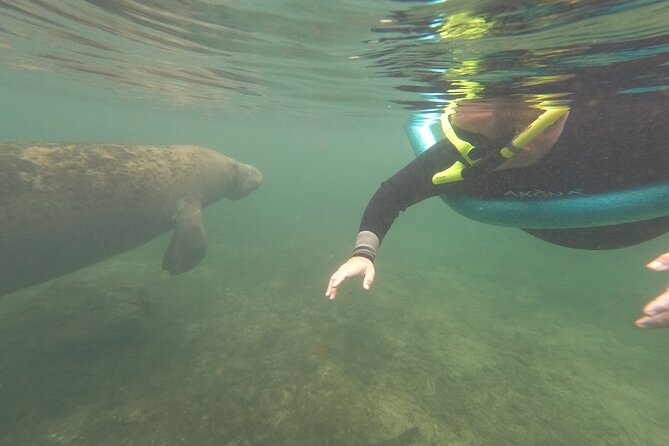 Small Group Manatee Snorkel Tour with In-Water Guide and Photographer - What the in-water guide adds