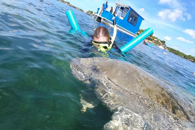 Small Group Manatee Snorkel Tour with In-Water Guide and Photographer - Underwater photos and real value for $89.99
