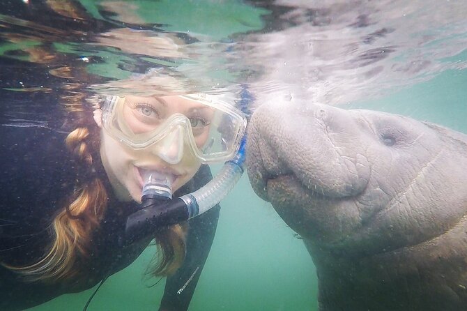Small Group Manatee Snorkel Tour with In-Water Guide and Photographer - Kings Bay, springs, and the search for wildlife