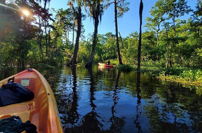 Small-Group Manchac Swamp Kayak Tour - Weather, mosquitoes, and what to wear