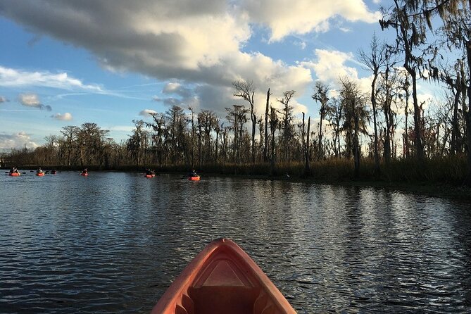 Small-Group Manchac Swamp Kayak Tour - Is the tour good value?