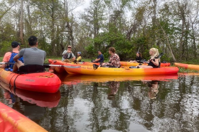 Small-Group Manchac Swamp Kayak Tour - Who should book the Manchac kayak trip