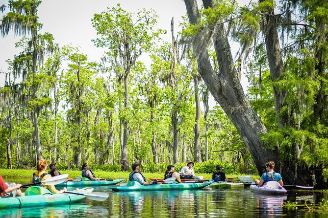Small-Group Manchac Swamp Kayak Tour with Local Guide - Small groups make the paddle easier