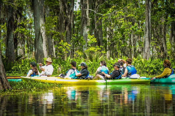 Small-Group Manchac Swamp Kayak Tour with Local Guide - What to wear and bring for comfort