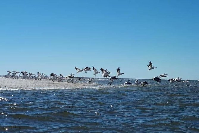 Small Group Motorboat Eco Tour of the Everglades - Is the small group worth the money?