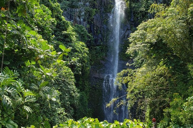 Small-Group Road to Hana Adventure Tour with Pickup & Lunch - Key points at a glance