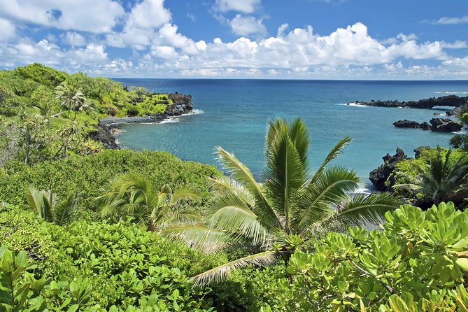 Small-Group Road to Hana Adventure Tour with Pickup & Lunch - Early pickup, breakfast, and the first ocean views