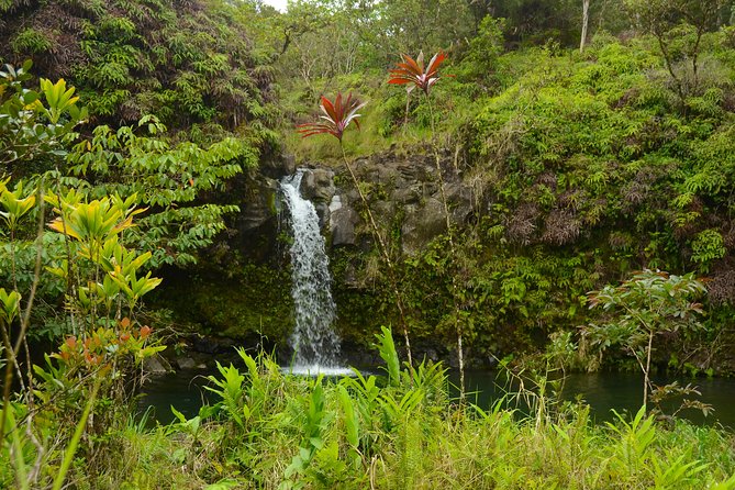 Small-Group Road to Hana Luxury Tour - Kaumahina State Wayside Park and the North Shore