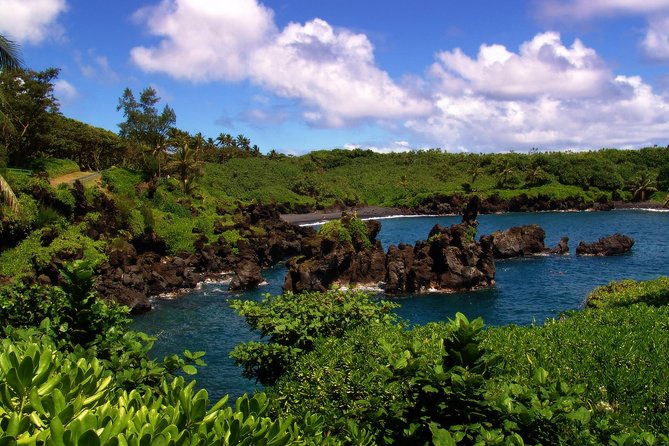 Small-Group Road to Hana Luxury Tour - Keʻanae Point: taro fields and crashing surf