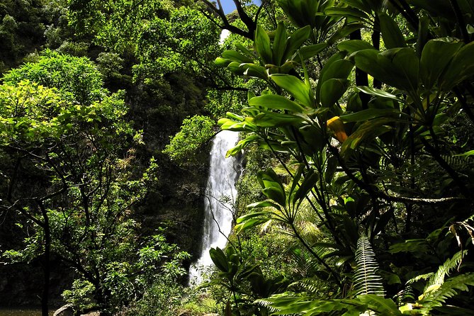 Small-Group Road to Hana Luxury Tour - Puaʻa Kaʻa State Park and the waterfall swim