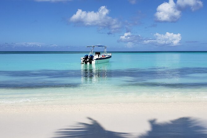 Small Group: Saona Island Full Day Tour - The secret beach inside Parque Nacional del Este