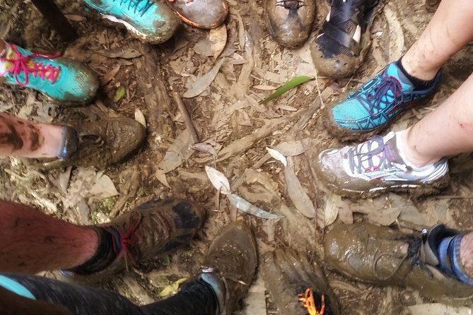 Small Group Waterfall and Rainforest Hiking Adventure on Maui - Waterfalls, pools, and the choice to jump