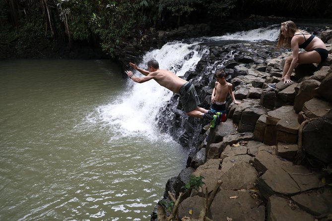 Small Group Waterfall and Rainforest Hiking Adventure on Maui - What the guides add to the day